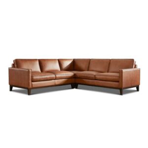 Danyale Leather Sectional With Wood Base