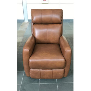 Primo Leather Power Recliner