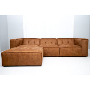 Anthonia Leather Sectional