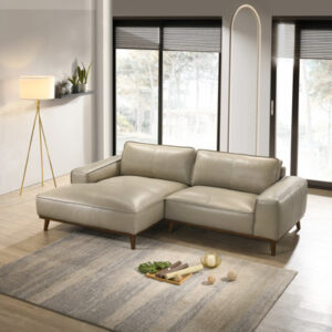 2 - Piece Leather Sectional