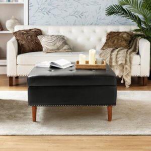 Arshaan Modern Vegan Leather Ottoman/Coffee Table with Storage
