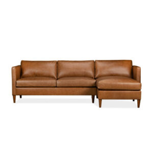 Clifford 2 - Piece Leather Sectional