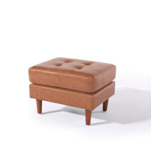 Atrakchi Leather Ottoman