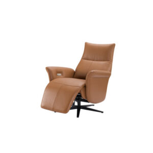 Jernorris Leather Swivel Power Recliner