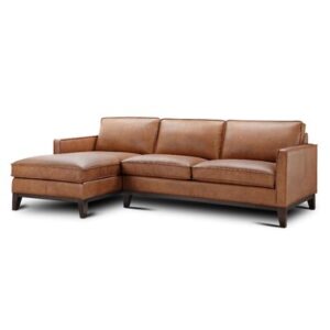 Zoticus 100" Wide Genuine Leather Sofa & Chaise