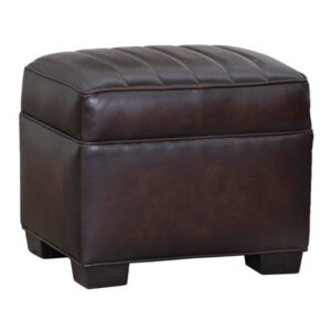 Aero 20" Wide Genuine Leather Square Standard Ottoman