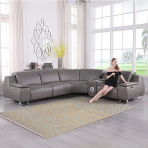 Eurielle 5 - Piece Leather Sectional