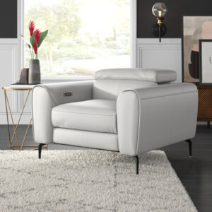Gonsalez 44" W Top Grain Leather Club Recliner