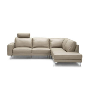 Patsye 2 - Piece Leather Sectional