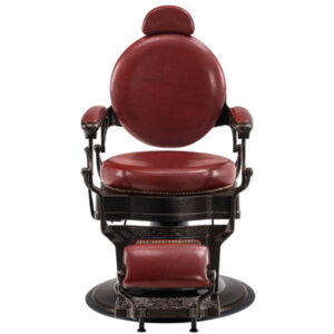 Bettyjo Vegan Leather Heavy Duty Metal Hydraulic Manual Swivel Salon Recliner