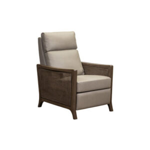 Breonica Leather Recliner