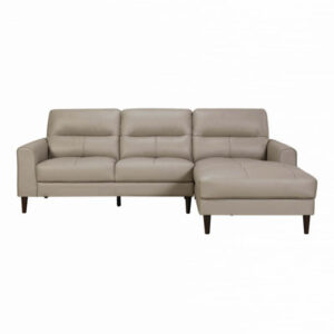 Living Room 2-Piece Sectional Sofa Chaise Top Grain Leather