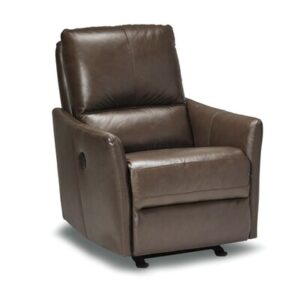 Mcnealy 30" Wide Genuine Leather Power Rocker Standard Recliner