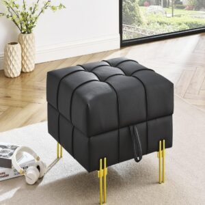 Streamdale Furniture 22 inches Anti-scratch Leather Storage Ottoman, Pet Friendly Entryway Bench with Golden Stainless Steel Legs, Black - Black pu