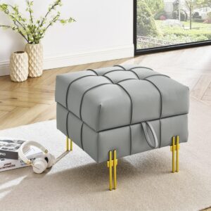 Streamdale Furniture 22 inches Anti-scratch Leather Storage Ottoman, Pet Friendly Entryway Bench with Golden Stainless Steel Legs, Gray - Gray