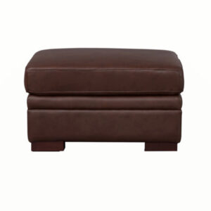 Jahnasia Leather Ottoman