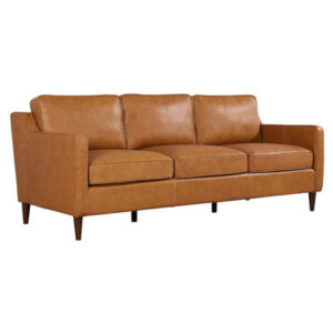 Roanna 81" Genuine Leather Square Arm Sofa