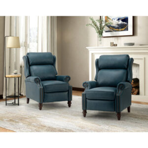 Ambrosane 33" Wide Genuine Leather Manual Standard Recliner