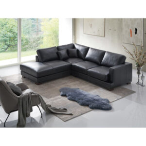 Bengte Modern Sofa Geralyn Sectional Sofa W/2 Pillows, Leather