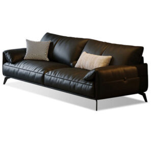 Black Genuine Leather Standard Sofa cushion couch