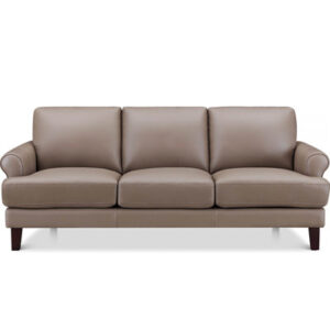 Dhruvika Top Grain Leather Sofa Couch