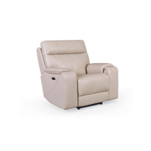 Epimenio Dual Power Leather Recliner