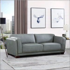 Genuine Leather 2-Seater Sofa