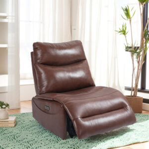 Radames 30" Wide Genuine Leather Manual Standard Recliner
